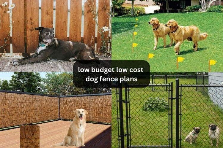 View of Low Budget Low-Cost Dog Fence Plans: 10 DIY Ideas for a Pooch