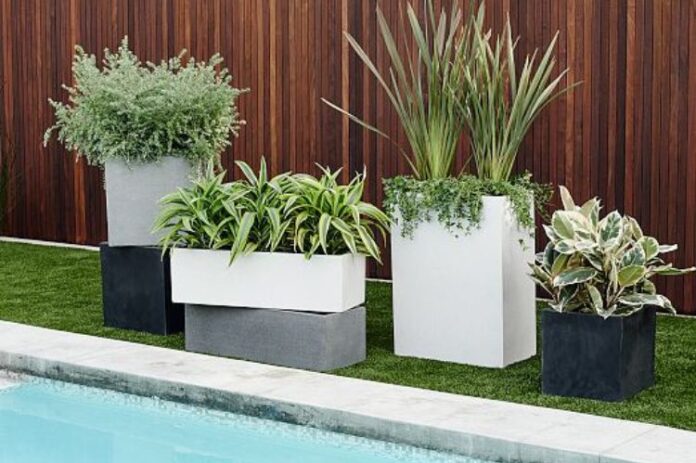 25 Front Yard Succulent Garden Ideas: Elevate Your Landscape