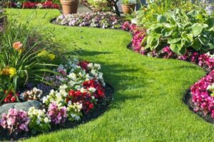 Front Yard Rose Garden Ideas: Designs to Elevate Outdoor Space