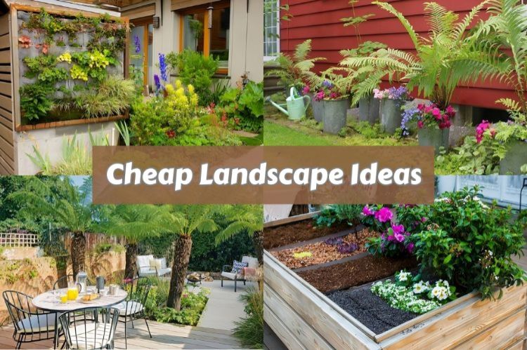 32 Cheap Landscape Ideas: Revamp Your Outdoor Space
