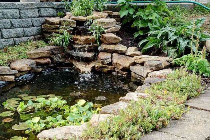 Image showcasing Small Space Garden Design Ideas: 35 Ways to Unlock Creativity