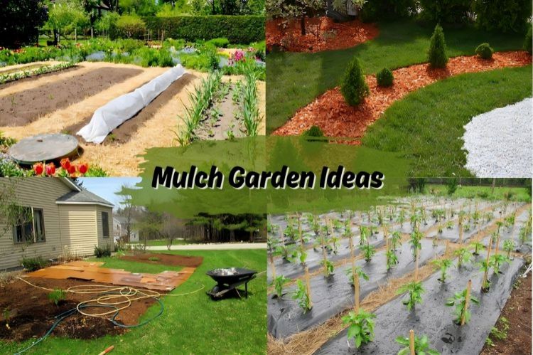 Mulch Garden Ideas 30 Stunning Landscaping Inspirations