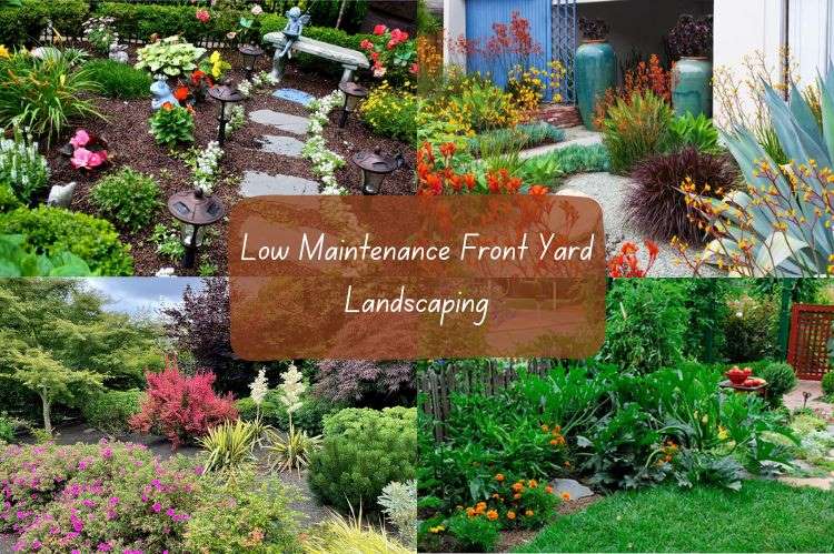 Low Maintenance Front Yard Landscaping